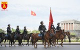 Cận cảnh dàn kỵ binh của lực lượng cảnh sát cơ động